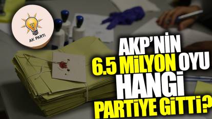 AKP'nin 6,5 milyon oyu hangi partiye gitti?