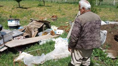 Köye inen ayı arı kovanlarını paramparça etti