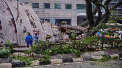 Malezya’da ağaç devrildi ölü ve yaralılar var