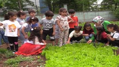 Anaokulu öğrencileri 'çiftçilik' yapıyor