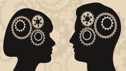 Kadın ve erkek beyni arasındaki farklar nelerdir?