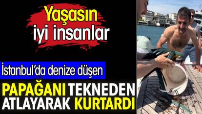 İstanbul’da denize düşen papağanı tekneden atlayarak kurtardı. Yaşasın iyi insanlar
