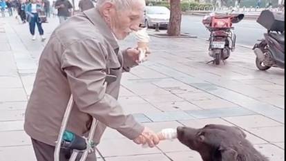 Yaşlı amcanın sokak köpeğine dondurma yedirdiği anlar yürekleri ısıttı