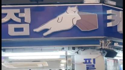 Türkiye'nin ünlü Dombili Kedisi Güney Kore'de ilham oldu