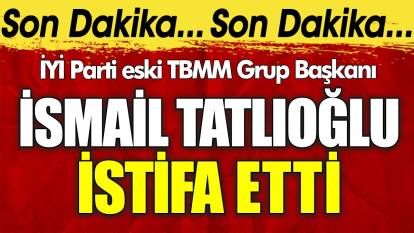 İYİ Parti eski TBMM Grup Başkanı İsmail Tatlıoğlu partiden istifa etti
