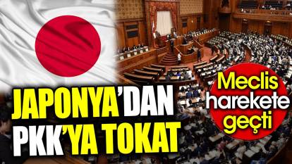 Japonya’dan PKK’ya tokat. Meclis harekete geçti
