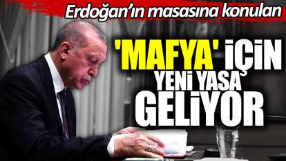Erdoğan'ın masasına konulan 'mafya' için yeni yasa geliyor