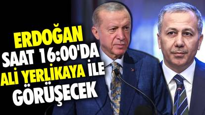 Erdoğan saat 16:00'da Ali Yerlikaya ile görüşecek