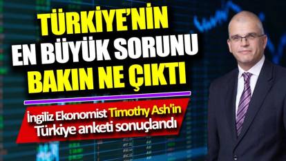 İngiliz Ekonomist Timothy Ash'in Türkiye anketi sonuçlandı. Türkiye'nin en büyük sorunu bakın ne çıktı