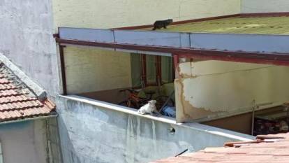 Bir haftadır çatıda mahsur kalan kedi kurtarılmayı bekliyor