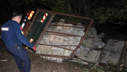 Bolu'da canlı tavuk yüklü kamyon uçuruma devrildi