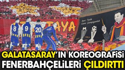 Galatasaray'ın koreografisi Fenerbahçelileri çıldırttı