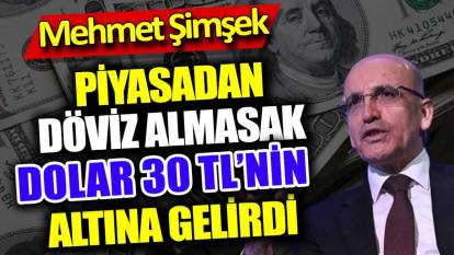Mehmet Şimşek: Piyasadan döviz almasak dolar 30 TL'nin altına gelirdi
