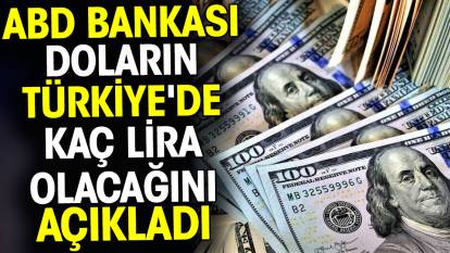 ABD bankası doların Türkiye'de kaç lira olacağını açıkladı