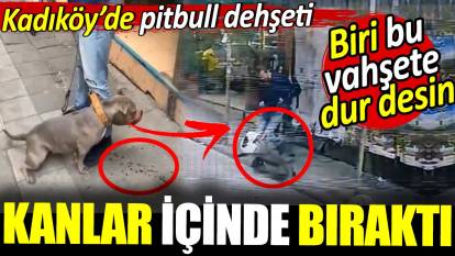 Kadıköy'de pitbull dehşeti! Kanlar içinde bıraktı