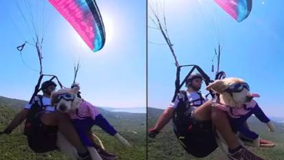 Yamaç paraşütçüsü köpeğiyle gökyüzünde: Badem'in serüveni