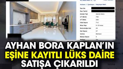 Ayhan Bora Kaplan’ın eşine kayıtlı lüks daire satışa çıkarıldı