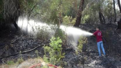 Manavgat'ta sigara izmariti ormanı yaktı
