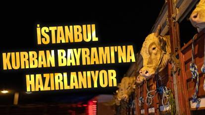 İstanbul Kurban Bayramı'na hazırlanıyor