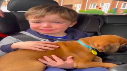 Köpek sahiplenen küçük çocuğun mutluluk gözyaşları