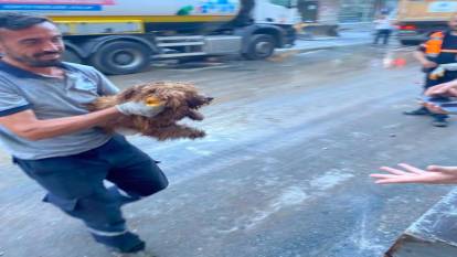 Çöken binanın enkazından kurtarılan köpeğin mutluluğu kameraya yansıdı