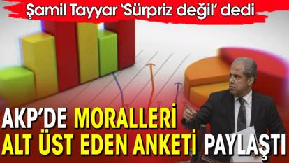 Şamil Tayyar sürpriz değil dedi! AKP’de moralleri alt üst eden anket sonuçlarını paylaştı