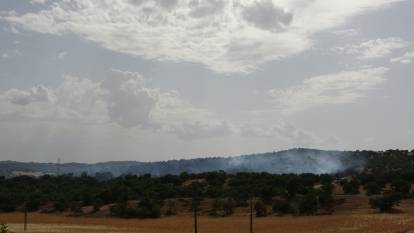 4 hektarlık makilik alan yandı