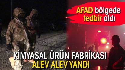 Kimyasal ürün fabrikası alev alev yandı: AFAD bölgede tedbir aldı