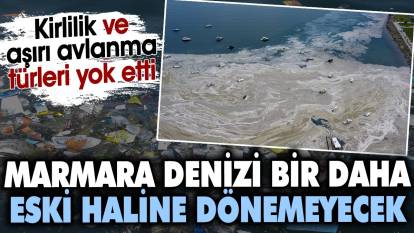 Marmara Denizi bir daha eski haline dönemeyecek. Kirlilik ve aşırı avlanma türleri yok etti