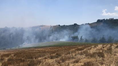 Adana'da orman yangınına müdahale