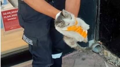 Atık su borusuna sıkışan kedi kurtarıldı