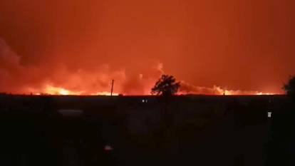 Şanlıurfa'da korkutan yangın. Binlerce dönüm TİGEM arazisi tehlike altında