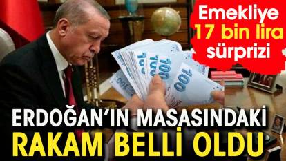 Erdoğan'ın masasındaki rakam belli oldu. Emekliye 17 bin lira sürprizi