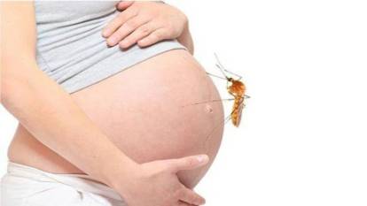 Hamile kadınların sivrisinekten kurtulma yöntemleri ortaya çıktı