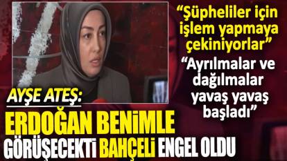 Sinan Ateş'in eşi Ayşe Ateş: Erdoğan benimle görüşecekti Bahçeli engel oldu
