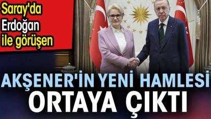 Saray'da Erdoğan ile görüşen Akşener'in yeni hamlesi ortaya çıktı