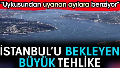 İstanbul’u bekleyen büyük tehlike. 'Uykusundan uyanan ayılara benziyor'