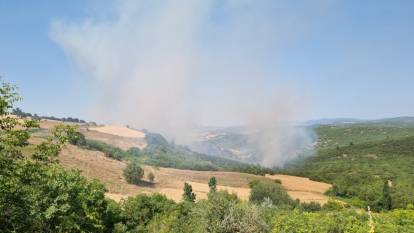 Balıkesir'de orman yangını! Karadan ve havadan müdahale ediliyor