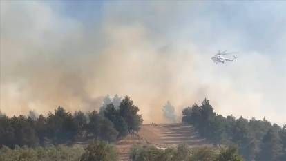 Pamukkale'de orman yangını