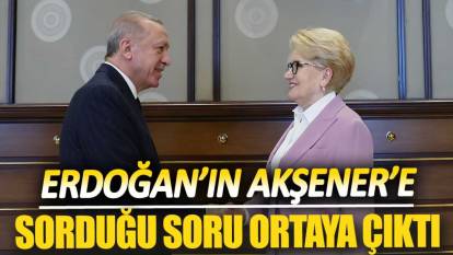 Erdoğan’ın Akşener’e sorduğu soru ortaya çıktı