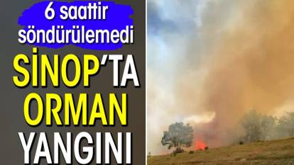 Sinop’ta orman yangını! 6 saattir devam ediyor