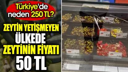 Zeytin yetişmeyen ülkede zeytinin fiyatı 50 TL. Türkiye'de neden 250 TL
