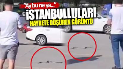 İstanbulluları hayrete düşüren görüntü: Ay bu ne ya