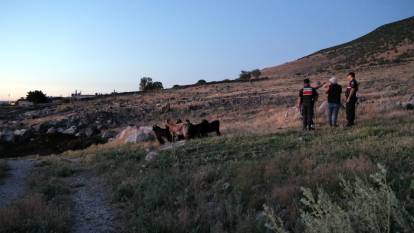Kaybolan keçiler dronlarla bulundu
