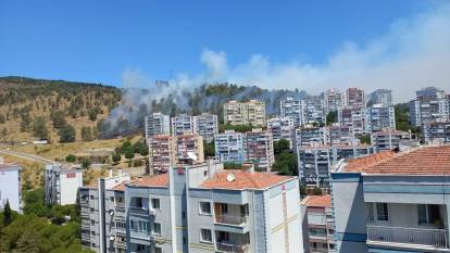 İzmir Aliağa’da orman yangını