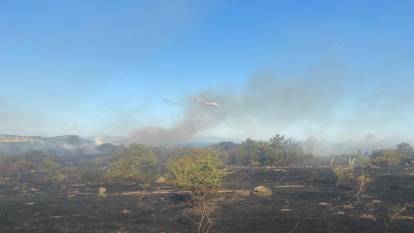 Çanakkale Ayvacık'ta tarım arazisinde başlayan yangın ormana sıçradı