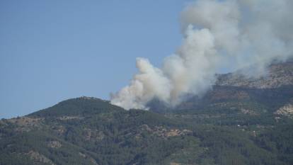 Manisa Spil Dağı'nda orman yangını