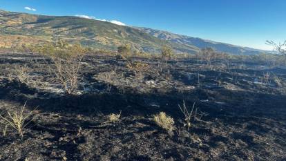 Elazığ’da yangın: Yüzlerce kayısı ağacı yandı