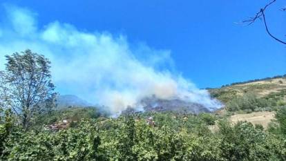 Kastamonu'da orman yangını 3 saatte söndürüldü