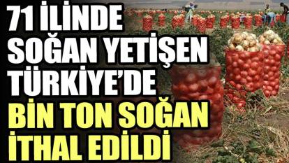 71 ilinde soğan yetişen Türkiye’de bin ton soğan ithal edildi